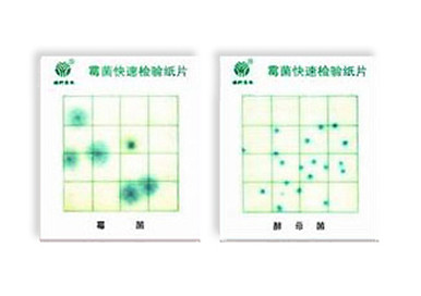 霉菌、酵母菌測(cè)試片